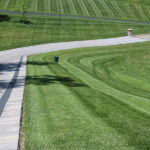 well maintained lawn near concrete walkways
